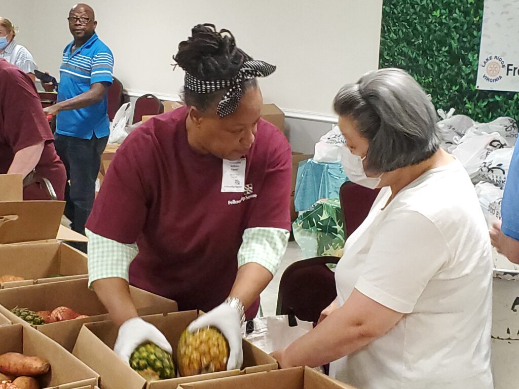 Volunteer picking pineapples for a resident.